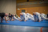 IMG_2065-2